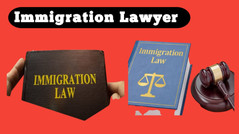 IMMIGRATION LAWYER