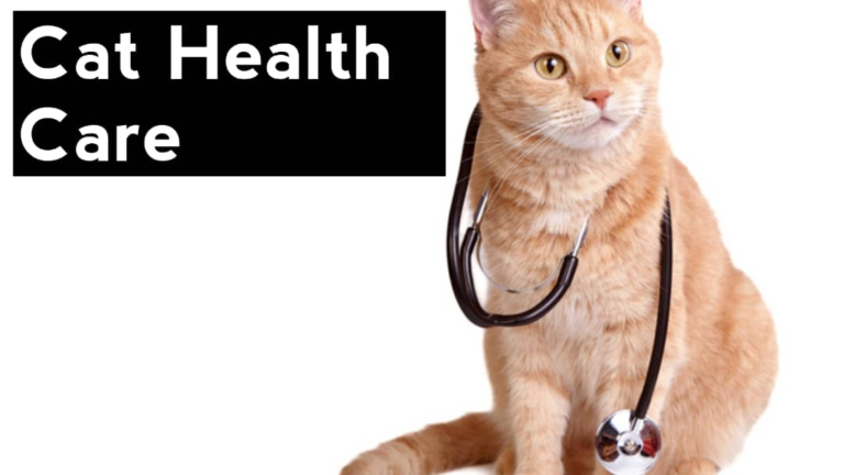 CAT HEALTH CARE
